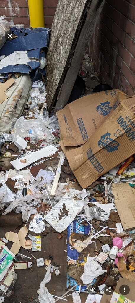 Commercial cleanup job