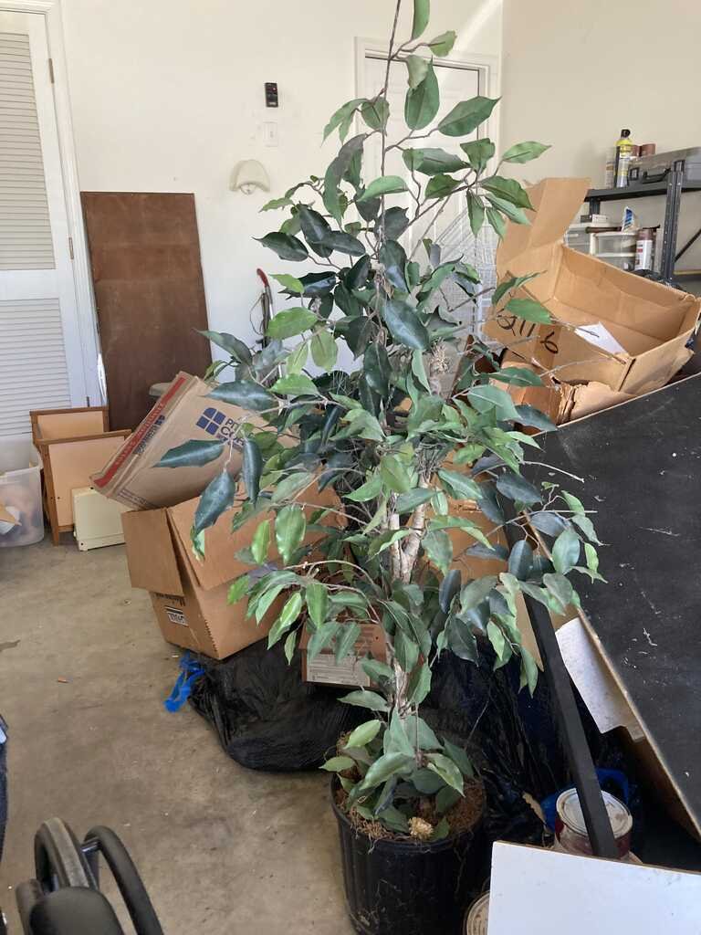 Office cleanout and junk removal