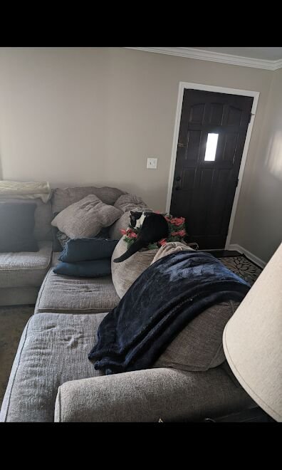 Sectional sofa removal